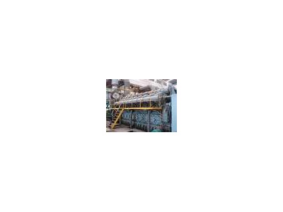 Sell 19.4 MW HFO Pielstick Power Plant