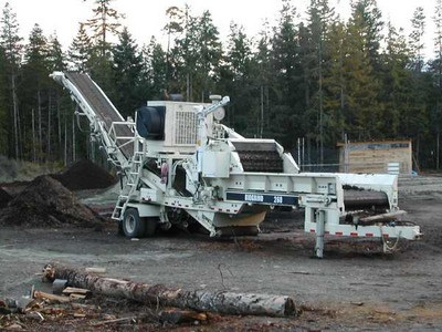 2002 BIOGRIND 260 HORIZONTAL GRINDER