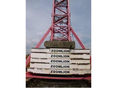 ZOOMLION TC 6517 B-10 Crane