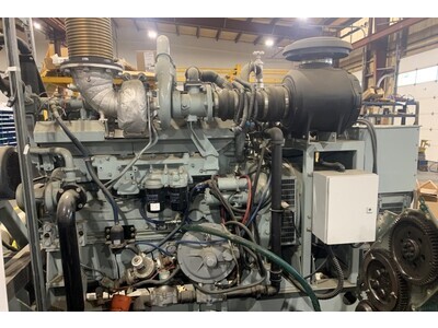 250 KW Natural Gas Generator Set