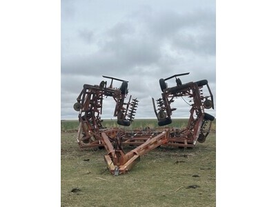 Sunflower 11x5 Sweeper