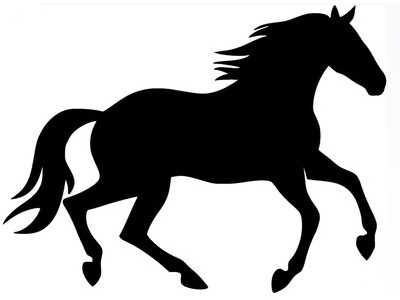 14-Year-Old Standardbred Mare