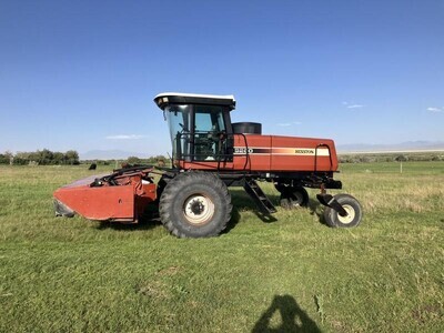 2004 Hesston 9260 Double Conditioner