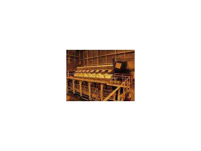 Wartsila Diesel Power Plant