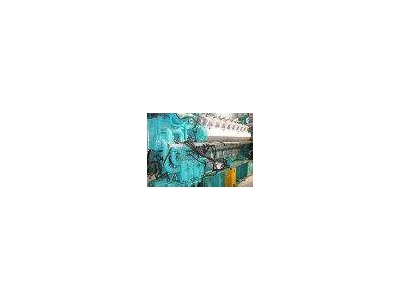 Wartsila Diesel Generator Sets