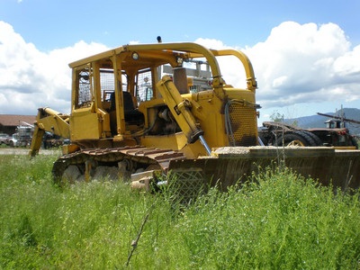 D6C Cat